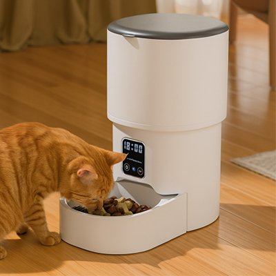 chat roux qui mange dans son Distributeur de croquettes chat ModernCat-Auto