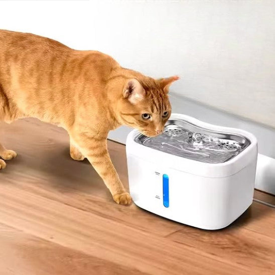 Chat roux qui sâavance vers sa fontaine a eau pour chat ConnectFlow