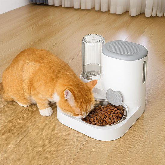 Chat roux qui se nourrit distributeur de croquettes pour chat FoodFeline