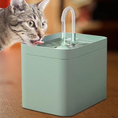 Chat tigré qui boit dans fontaine a eau chat Ultra QuietCatWaterFountain verte