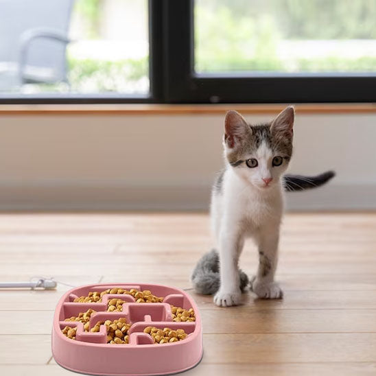 chaton et sa gamelle anti glouton chat PawSlowFeeder rose