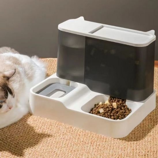 Distributeur de croquettes pour chat PurrfectSupply sur tapis clair.