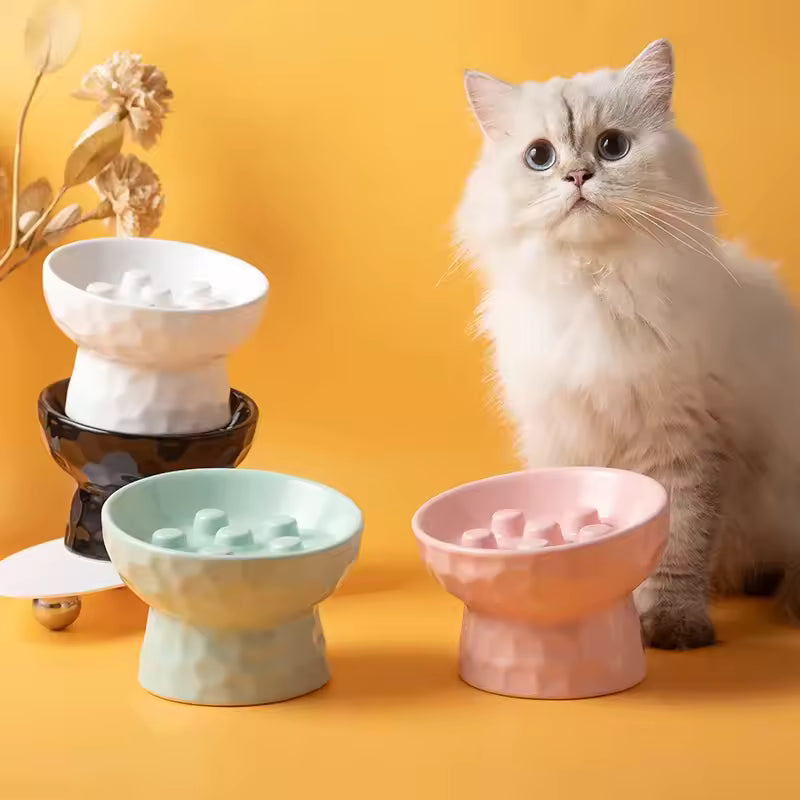 Persan fier de présenter ses Gamelles anti glouton chat CeraZen