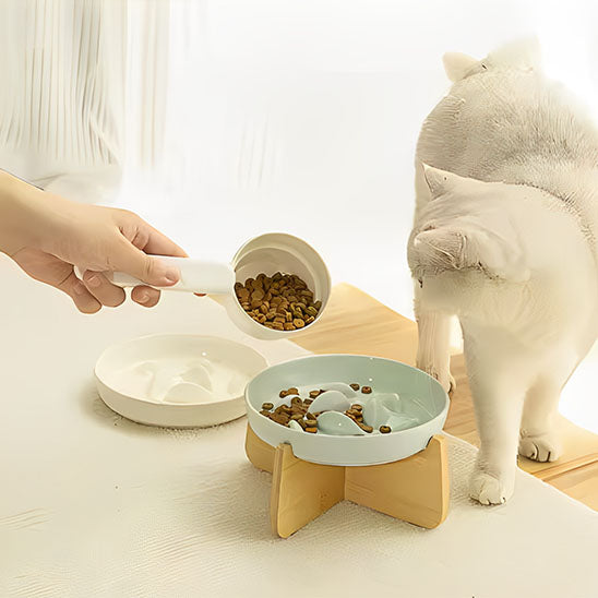 Service de nourriture dans gamelle anti glouton chat ZenBowl bleue