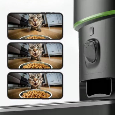 Vision rendu sur le téléphone de la caméra intégrée au Distributeur automatique croquettes chat FeedMaster.