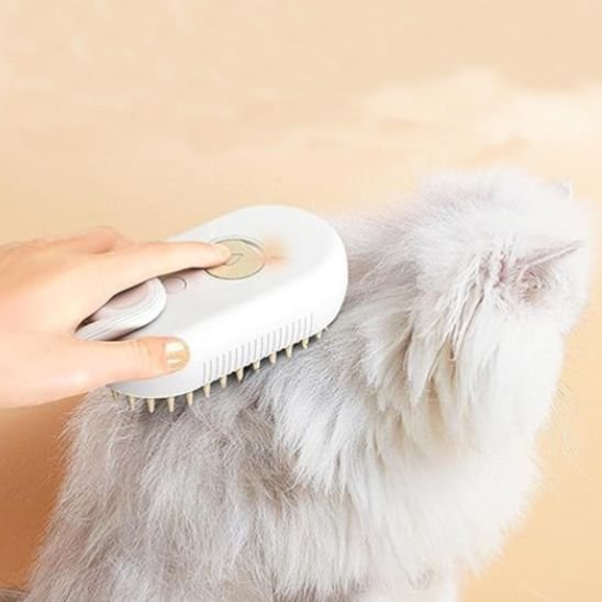 Brosse à chat
