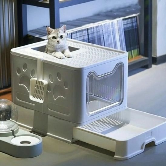 Maison de toilette pour chat | Hygiène Cat - Chat Ronronne