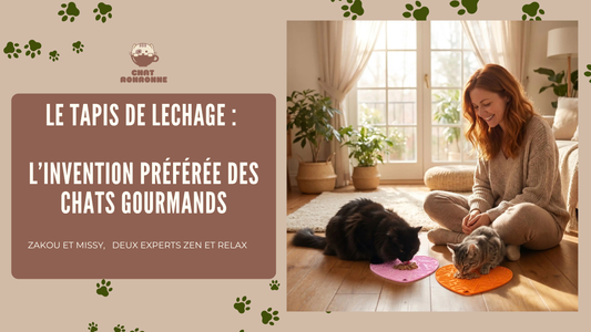 bannière blog tapis de lechage 