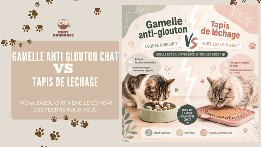 bannière blog gamelle anti glouton VS tapis de lechage 