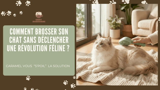 Brosse pour chat : comment choisir la meilleure pour un pelage parfait ? - Chat Ronronne