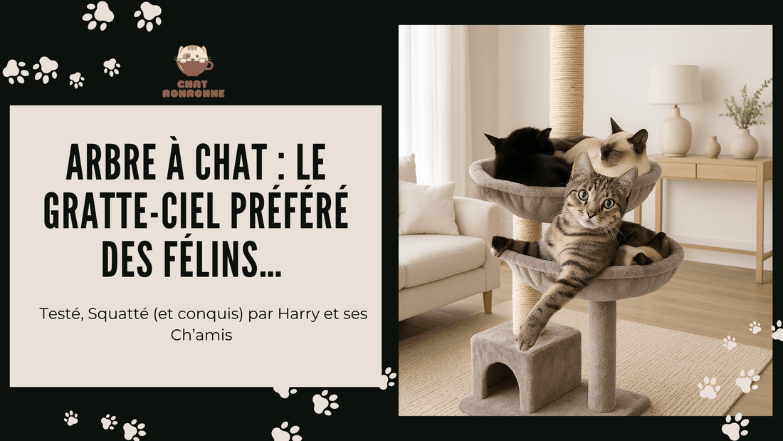 Comment choisir l’arbre a chat idéal au bonheur de votre félin? - Chat Ronronne