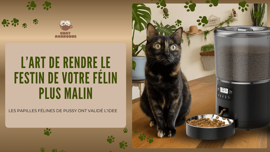 Distributeur de croquettes pour chat : lequel choisir pour votre félin ? - Chat Ronronne