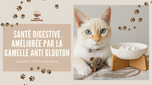 Est-ce que les gamelles anti-glouton fonctionnent ? - Chat Ronronne