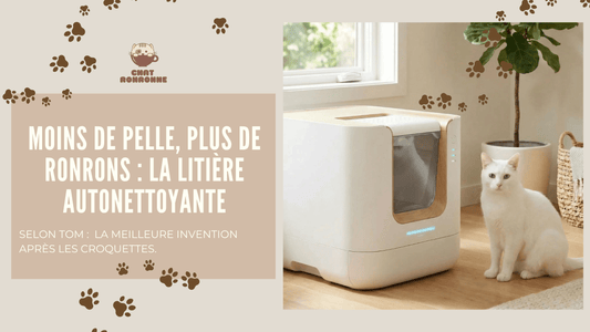 Litière autonettoyante : la solution pour une maison propre sans effort ! - Chat Ronronne