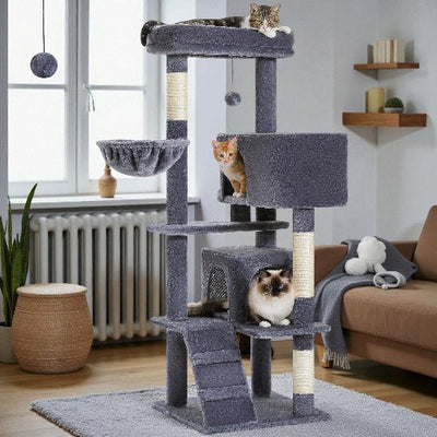 ARBRE A CHAT - Chat Ronronne