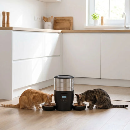  deux chats qui mangent dans un distributeur de croquettes pour chat noir