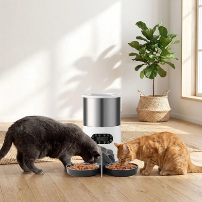 Deux Chats qui se restaurent avec son distributeur automatique croquettes chat FeedFlowConnect-Twin