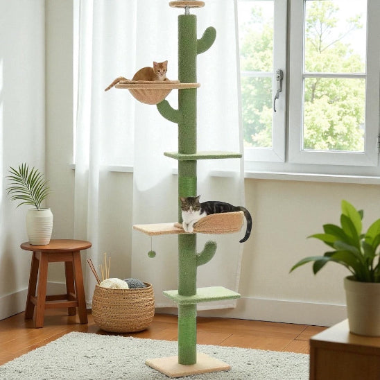 2 chats sur arbre a chat Feligreen devant fenêtre