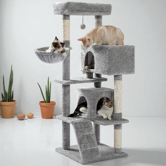 3 chats sur Arbre a chat ParadisFélin