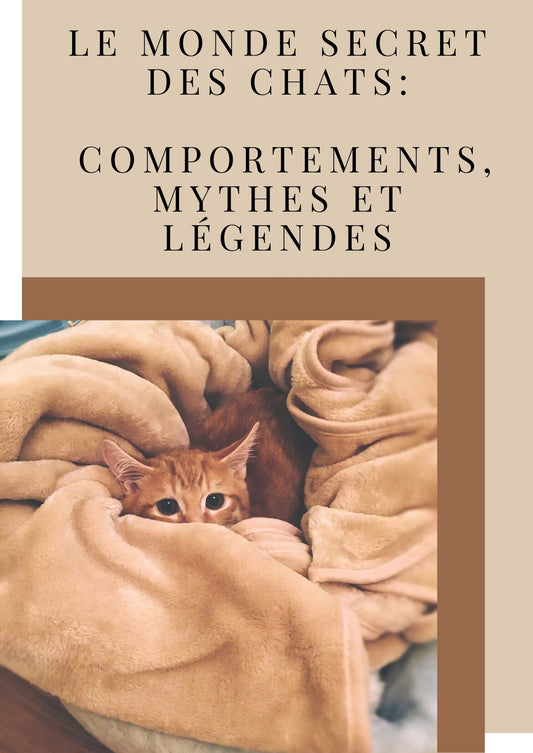 Le Monde Secret des Chats : Comportements, Mythes et Légendes