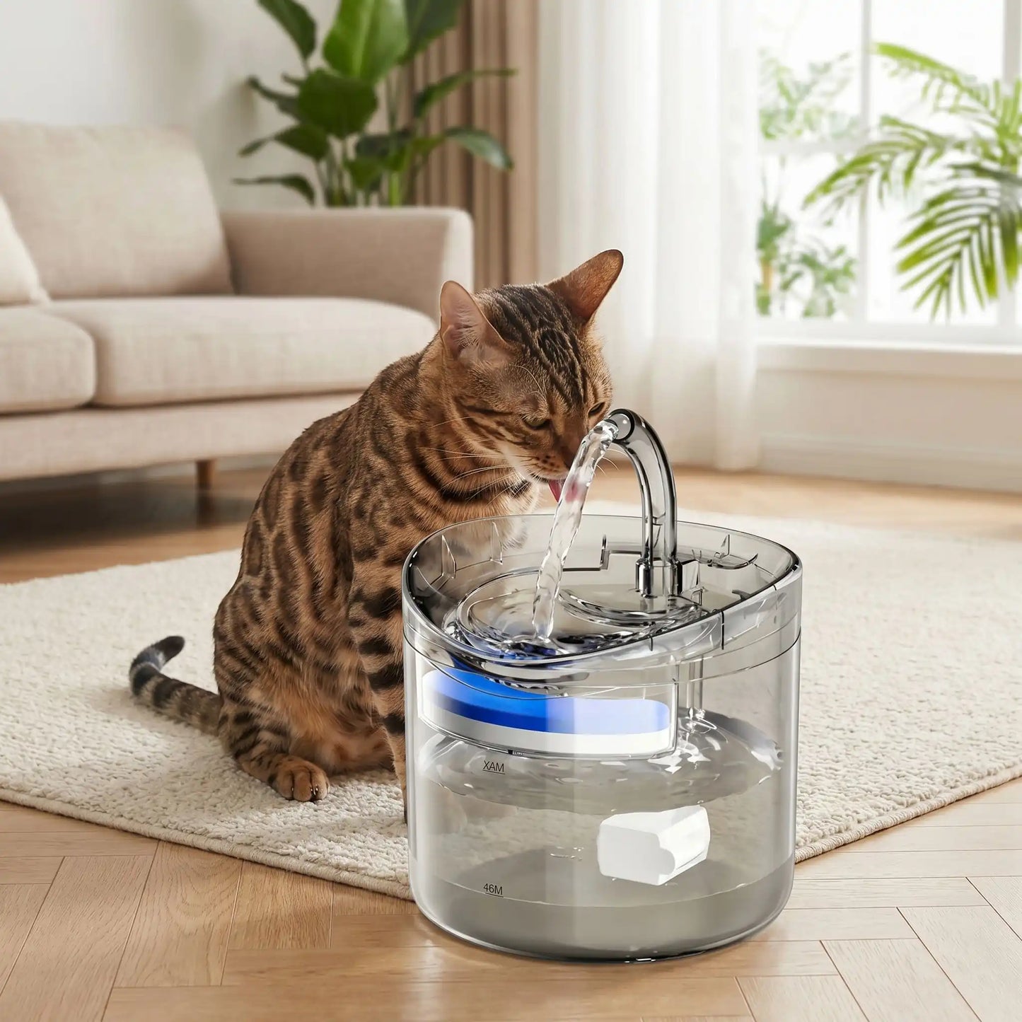  chat Bengal, qui boit dans sa fontaine a eau chat CrystalSteel