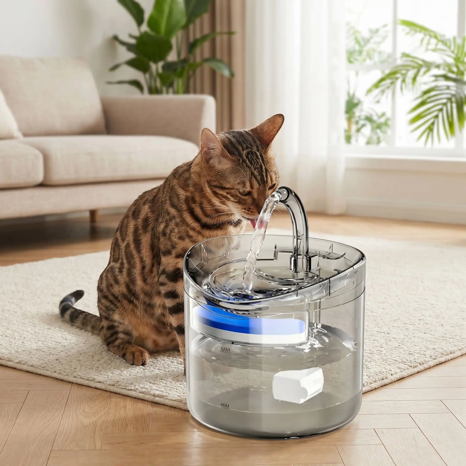  chat Bengal, qui boit dans sa fontaine a eau chat CrystalSteel