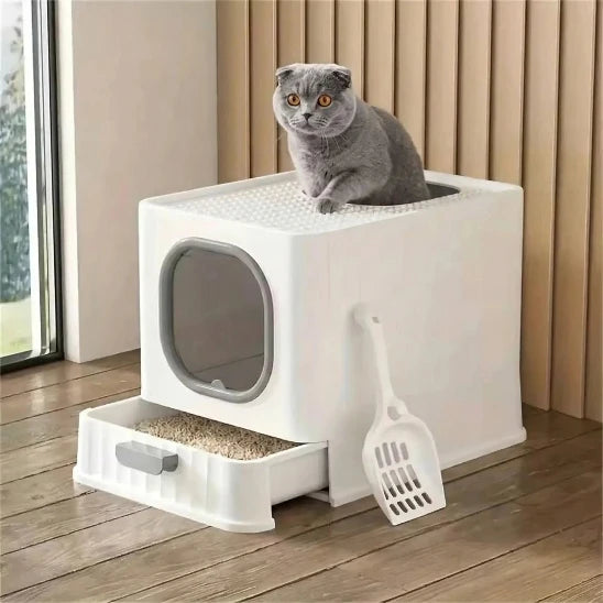 Chat Russe qui sort de son bac à litière chat par trappe supèrieur