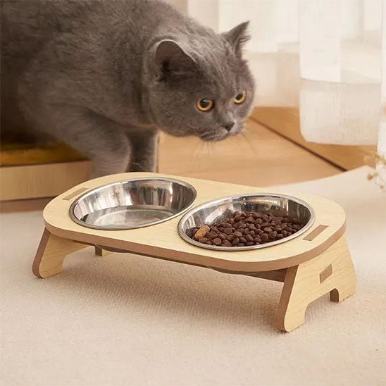 Chat Russe qui vient manger dans gamelle chat surélevée NordikBowl double