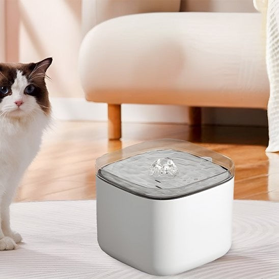 Chat à côté de la fontaine a eau pour chat AquaFresh couleur blanche