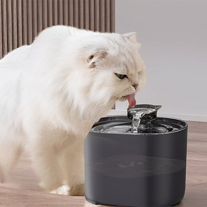 Chat angora blanc qui boit dans sa fontaine a eau pour chat WaterPet noire