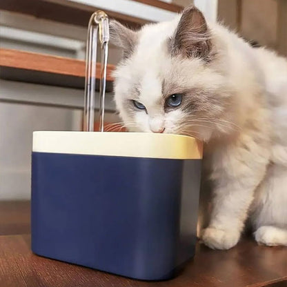chat angora qui boit dans fontaine a eau chat Ultra QuietCatWaterFountain bleue
