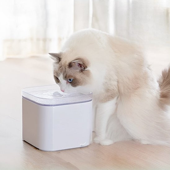 Chat angora qui boit dans la fontaine a eau pour chat AquaFresh blanche