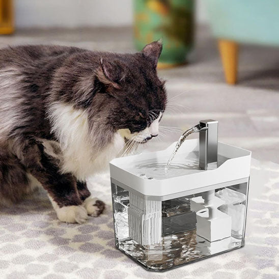 Chat angora qui boit dans sa Fontaine a eau chat CatAutomaticWaterFountain  blanche