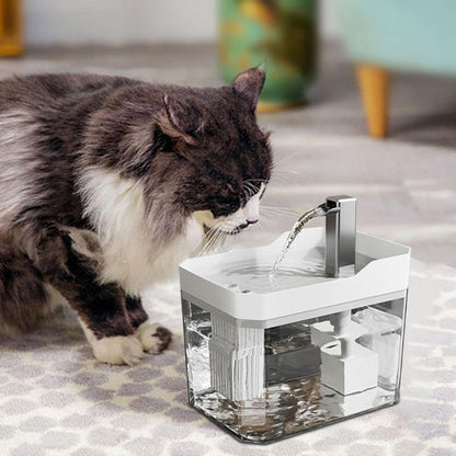 Chat angora qui boit dans sa Fontaine a eau chat CatAutomaticWaterFountain  blanche