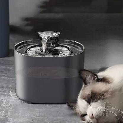 Chat angora qui dort a cote de sa fontaine a eau pour chat WaterPet noire