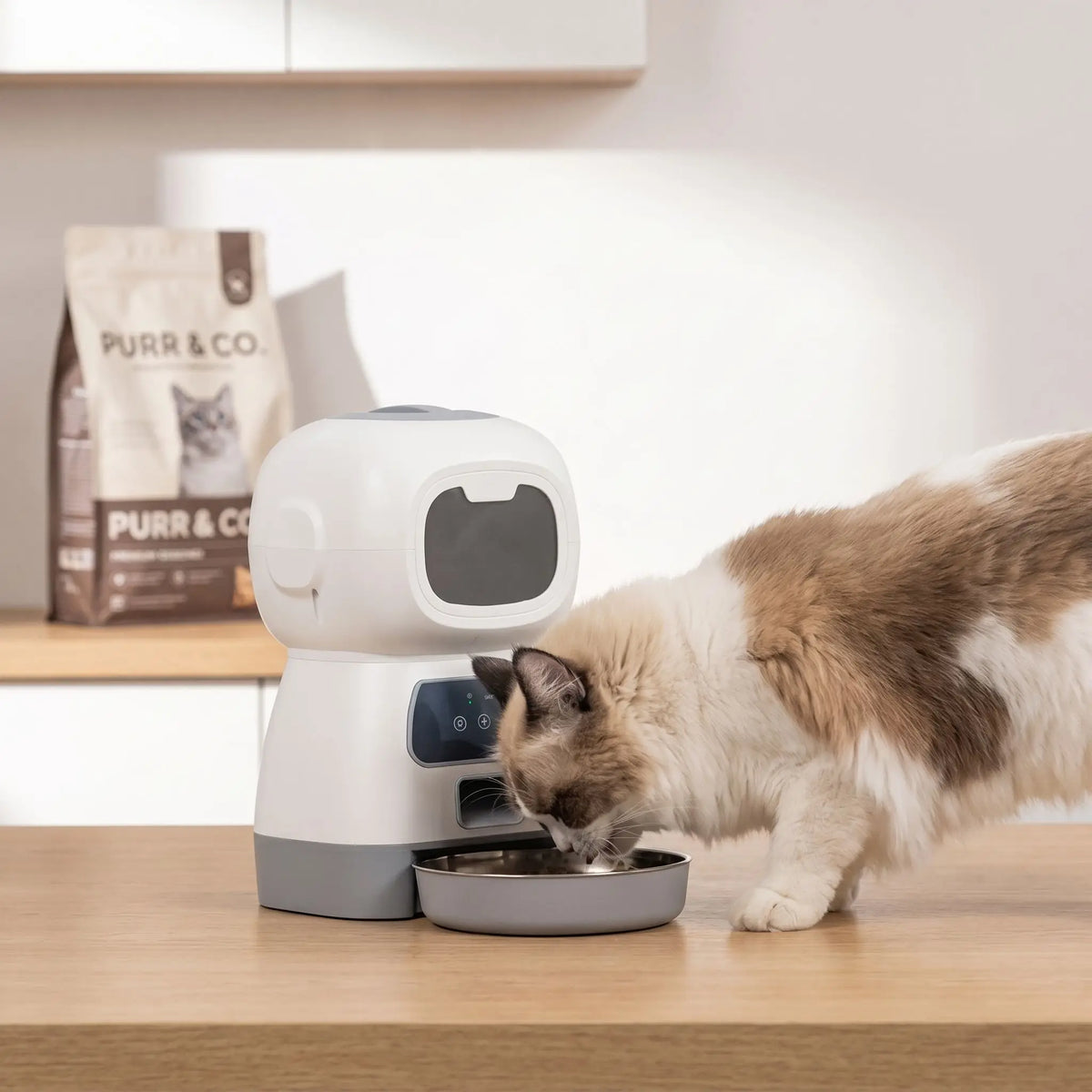 Chat angora qui mange dans son distributeur croquette chat automatique FeliFeedBot