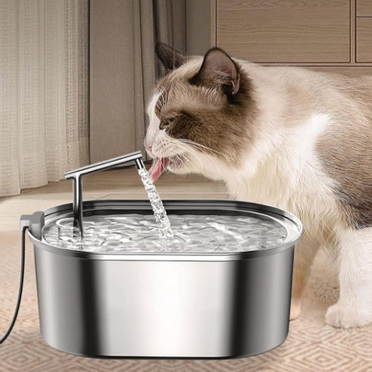 Chat Angora vient s’hydrater à la fontaine a eau chat HydraPurr