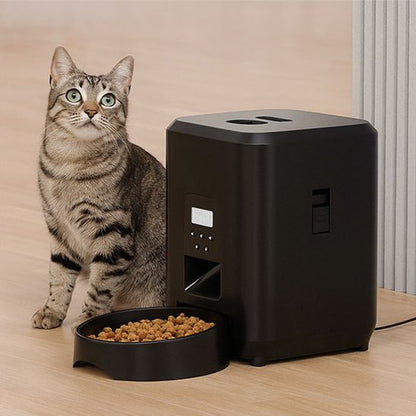 Chat assis à côté du distributeur de croquettes pour chat WhiskerConnect.