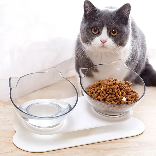 Chat assis derrière gamelle chat surélevée ErgoClear 