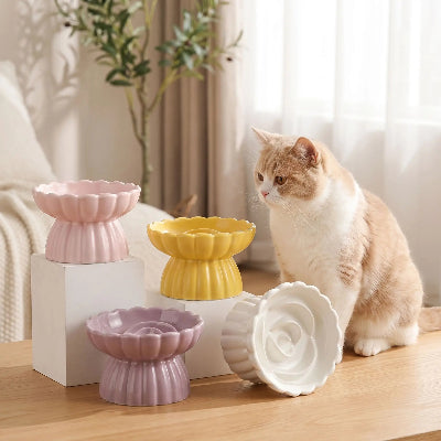 Chat, assis derrière ses gamelle chat anti glouton Bowl&Roses