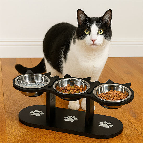 Chat assis devant gamelle chat surélevée BlackThree