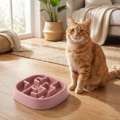 Chat  assis proche de sa gamelle anti glouton chat PawSlowFeeder rose