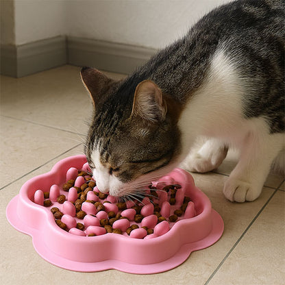 Chat bicolore mange dans Gamelle chat anti glouton ZenPlate rose