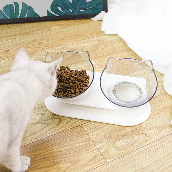 Chat blanc qui mange dans gamelle chat surélevée ErgoClear 