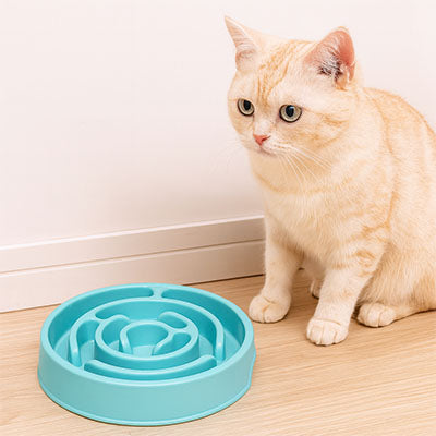 Chat crème devant gamelle anti glouton chat SlowMeal bleue