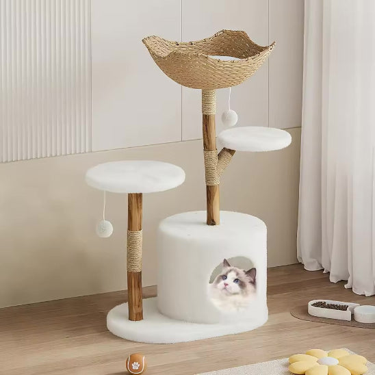 Chat dans Arbre à chat en bois ConfortScandinave 2 Plateformes