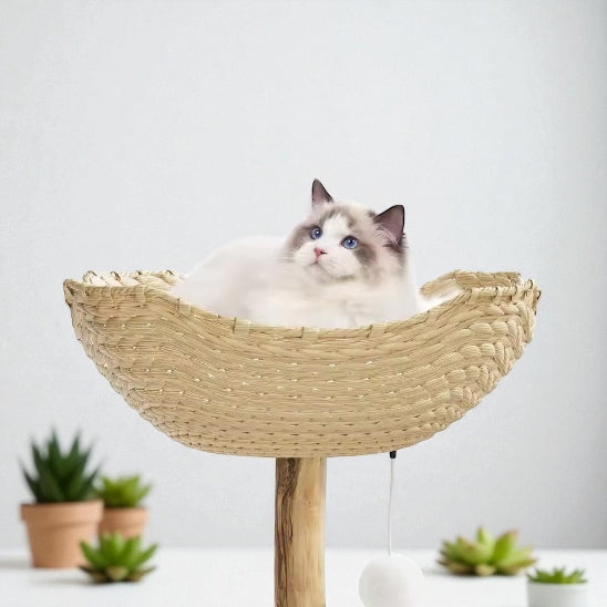 Chat dans panier supérieur Arbre à chat en bois ConfortScandinave