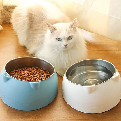 Chat devant deux Gamelle chat EarCatBowl bleue et blanche