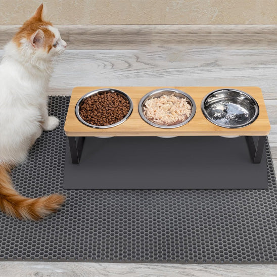 Chat devant gamelle chat surélevée ScandiCatChic bols remplis
