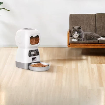 Chat gris couché sur divan avec le distributeur croquette chat automatique FeliFeedBot